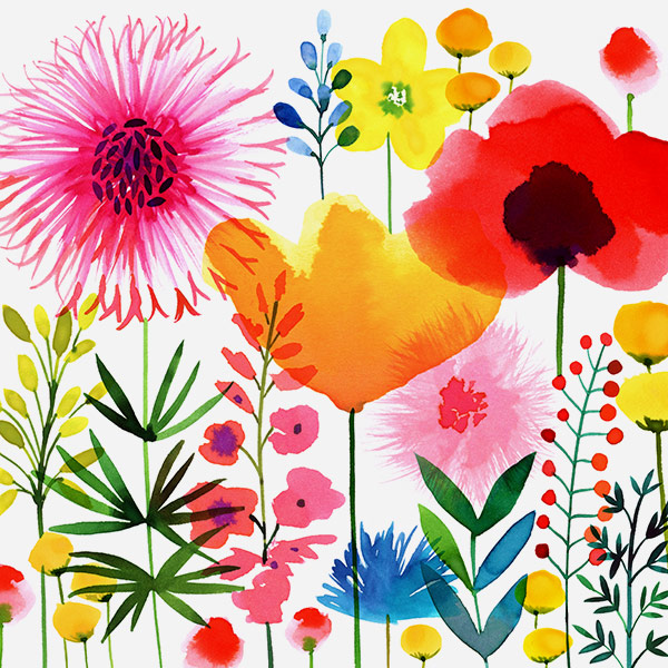 Magrikie : Illustration : Everyday Florals / Plants