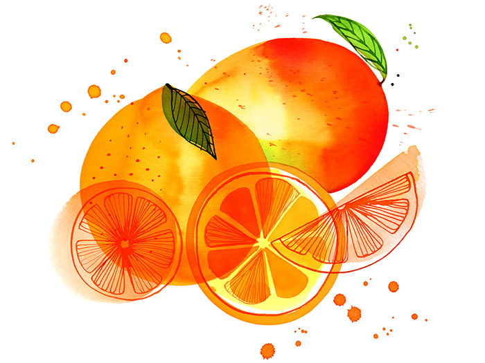 Мандарин 36. Апельсин вектор. Стилизованные апельсины. Фрукты иллюстрация. Сочный апельсин вектор.